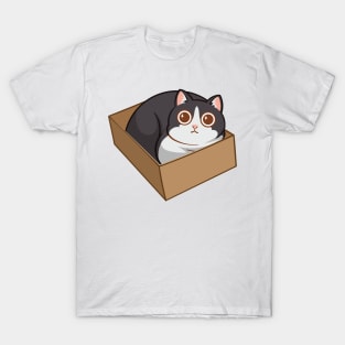 Cat in the box T-Shirt